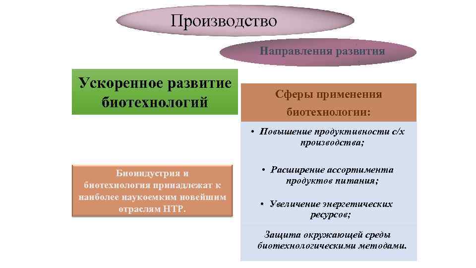 Производство Направления развития Ускоренное развитие биотехнологий Сферы применения биотехнологии: • Повышение продуктивности с/х производства;