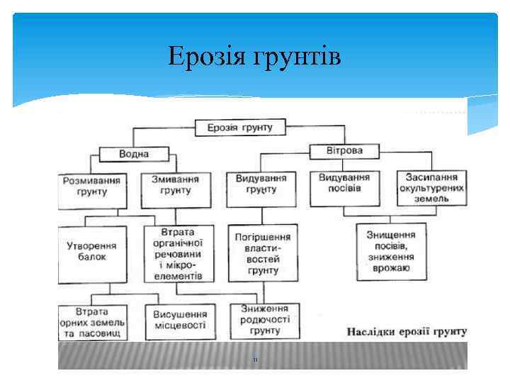 Ерозія грунтів 11 