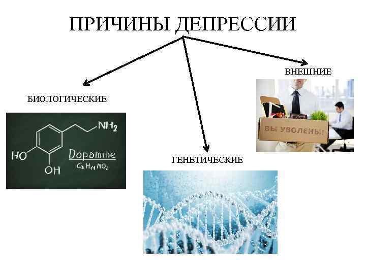 ПРИЧИНЫ ДЕПРЕССИИ ВНЕШНИЕ БИОЛОГИЧЕСКИЕ ГЕНЕТИЧЕСКИЕ 