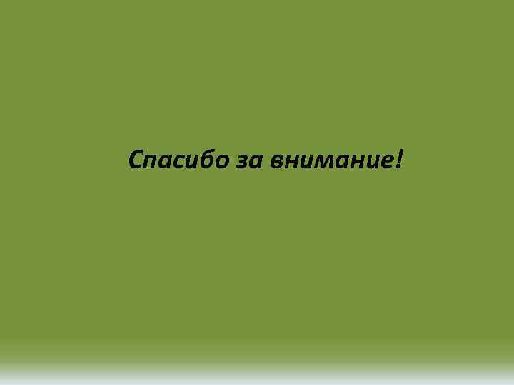 Спасибо за внимание! 