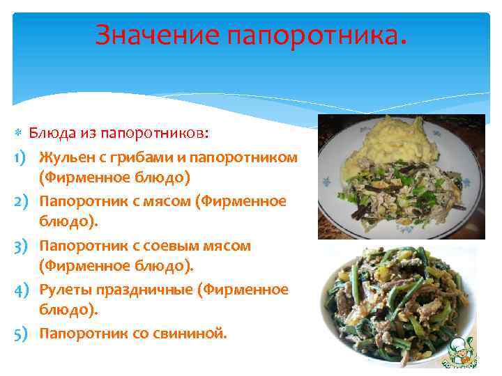 Значение папоротника. Блюда из папоротников: 1) Жульен с грибами и папоротником (Фирменное блюдо) 2)