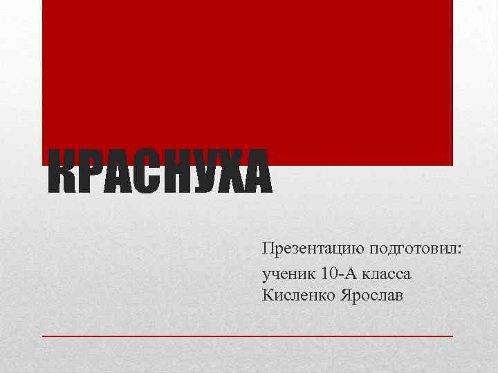 КРАСНУХА Презентацию подготовил: ученик 10 -А класса Кисленко Ярослав 