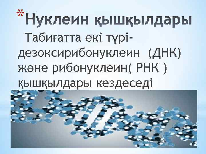 * Табиғатта екі түрідезоксирибонуклеин (ДНК) және рибонуклеин( РНК ) қышқылдары кездеседі 