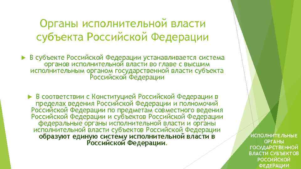 Органы исполнительной власти субъекта Российской Федерации В субъекте Российской Федерации устанавливается система органов исполнительной