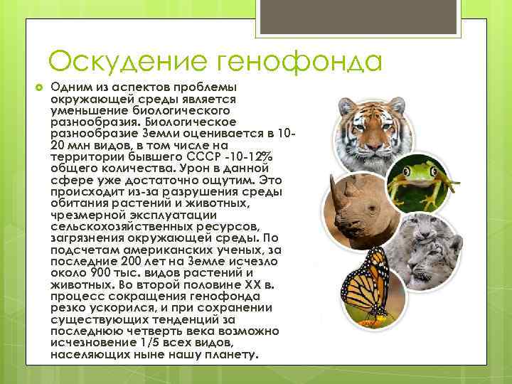 Оскудение генофонда Одним из аспектов проблемы окружающей среды является уменьшение биологического разнообразия. Биологическое разнообразие