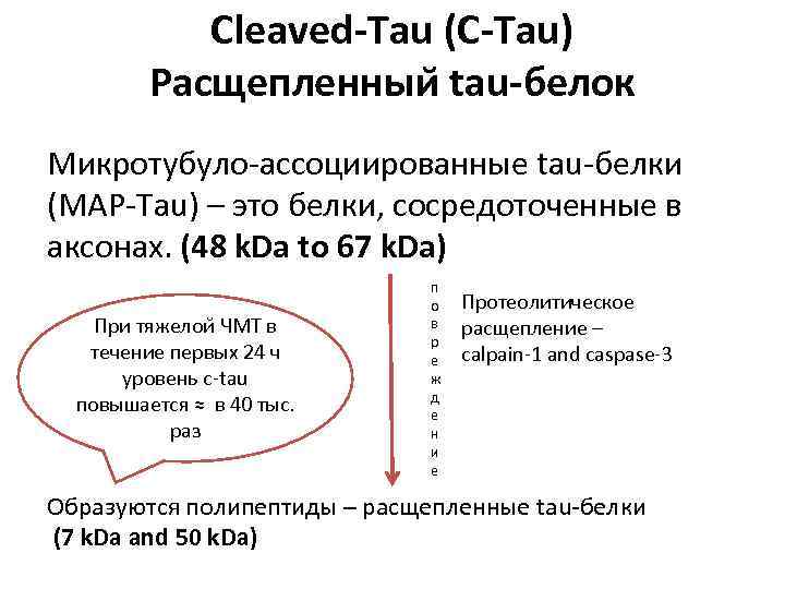 Cleaved-Tau (C-Tau) Расщепленныи tau-белок Микротубуло-ассоциированные tau-белки (MAP-Tau) – это белки, сосредоточенные в аксонах. (48