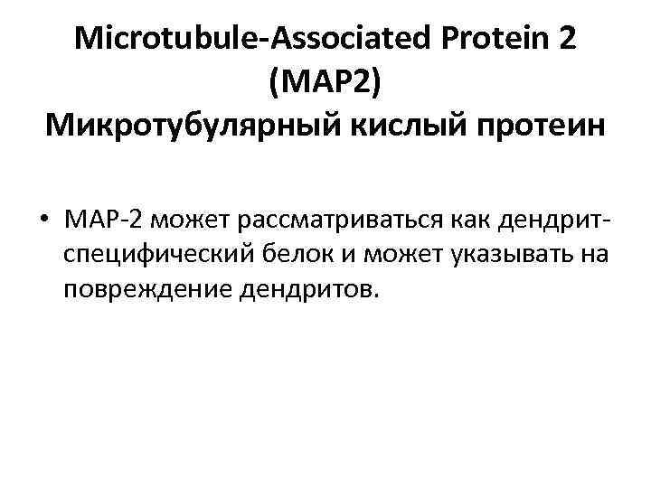 Microtubule-Associated Protein 2 (MAP 2) Микротубулярный кислый протеин • MAP-2 может рассматриваться как дендритспецифический