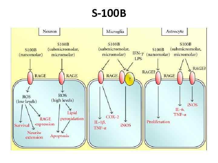 S-100 B 