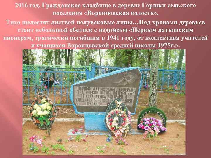 2016 год. Гражданское кладбище в деревне Горшки сельского поселения «Воронцовская волость» . Тихо шелестят