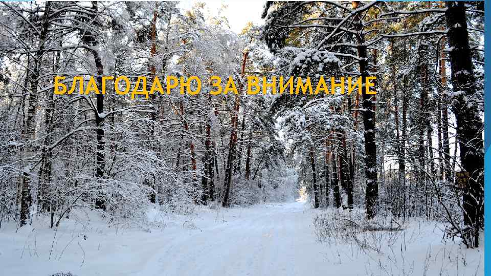 БЛАГОДАРЮ ЗА ВНИМАНИЕ Спасибо за внимание 