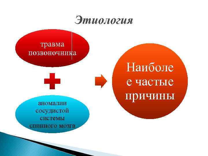 Этиология травма позвоночника аномалии сосудистой системы спинного мозга Наиболе е частые причины 