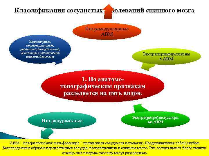 Классификация сосудистых заболеваний спинного мозга Интрамедуллярные АВМ Медуллярные, перимедуллярные, дуральные, эпидуральные, мышечные и позвонковые