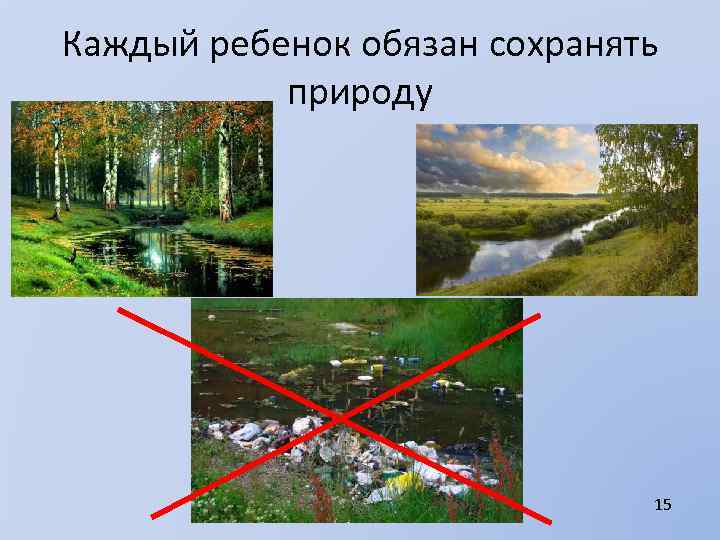 Каждый ребенок обязан сохранять природу 15 