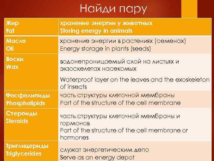 Найди пару Жир Fat хранение энергии у животных Storing energy in animals Масло Oil