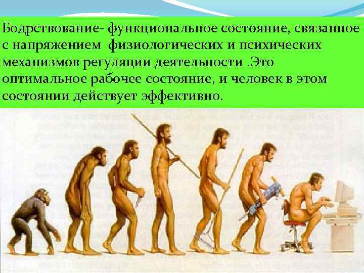 Бодрствование- функциональное состояние, связанное с напряжением физиологических и психических механизмов регуляции деятельности. Это оптимальное