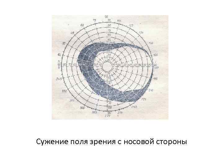 Какие особенности нашего зрения положены в основу формирования изображения на экране компьютера