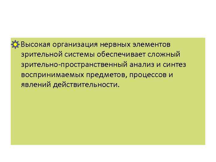  Высокая организация нервных элементов зрительной системы обеспечивает сложный зрительно пространственный анализ и синтез