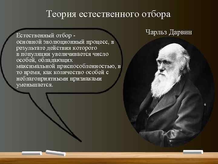 Теория естественного отбора Естественный отбор - основной эволюционный процесс, в результате действия которого в