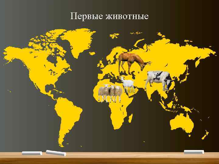 Первые животные 