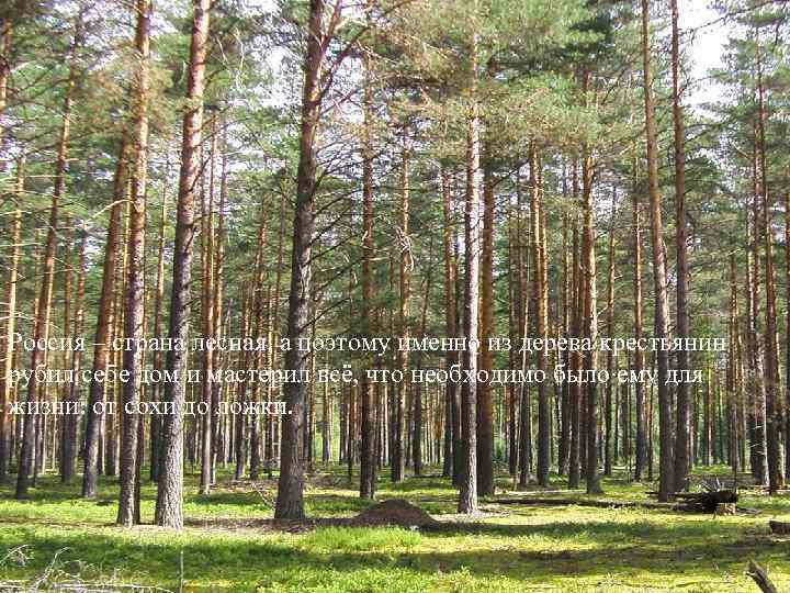Россия – страна лесная, а поэтому именно из дерева крестьянин рубил себе дом и