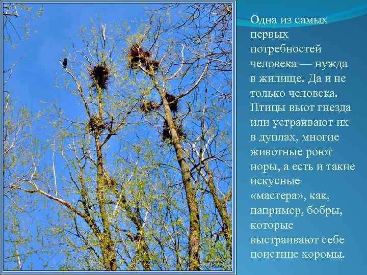 Одна из самых первых потребностей человека — нужда в жилище. Да и не только