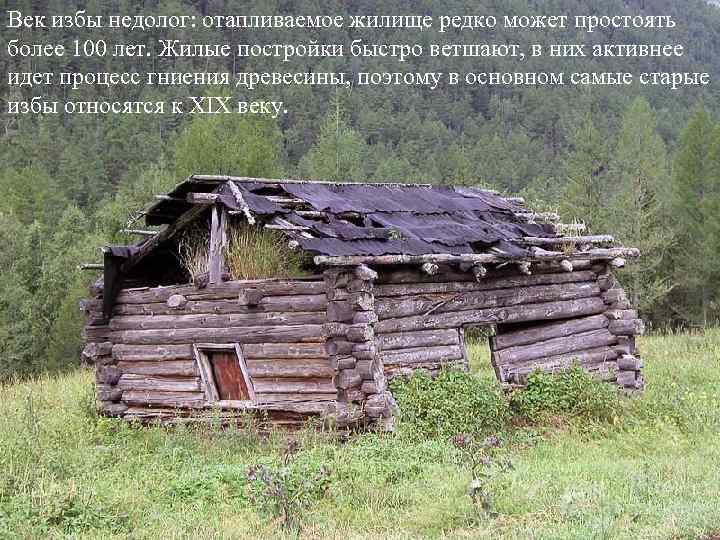Век избы недолог: отапливаемое жилище редко может простоять более 100 лет. Жилые постройки быстро