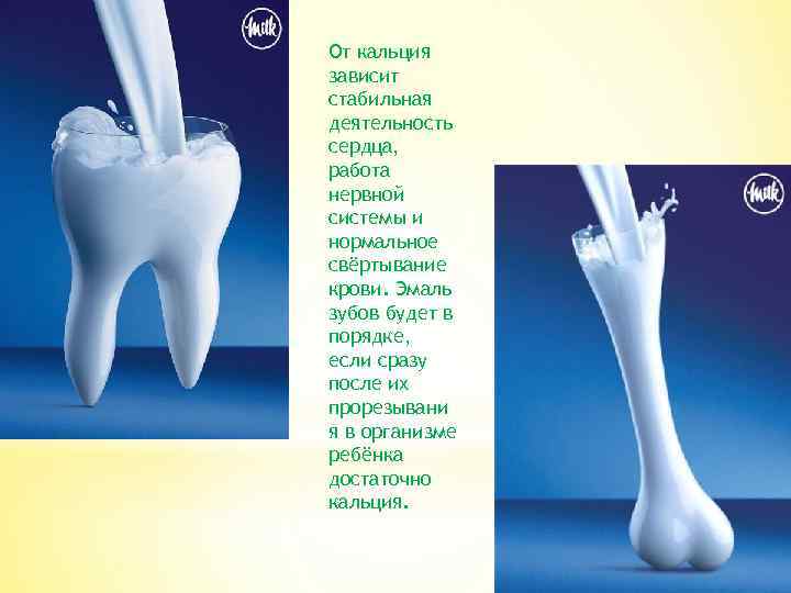 От кальция зависит стабильная деятельность сердца, работа нервной системы и нормальное свёртывание крови. Эмаль