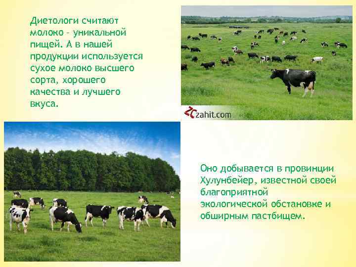 Диетологи считают молоко – уникальной пищей. А в нашей продукции используется сухое молоко высшего