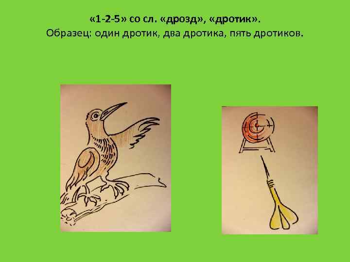  « 1 -2 -5» со сл. «дрозд» , «дротик» . Образец: один дротик,