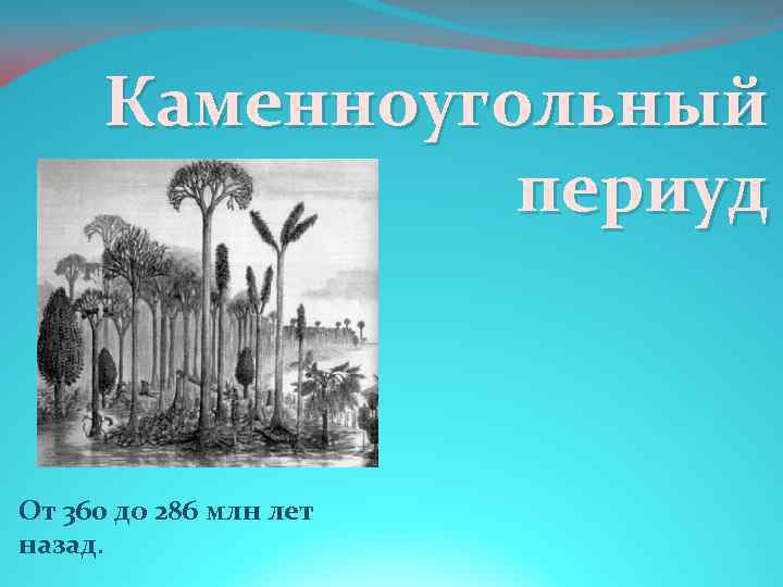 Каменноугольный периуд От 360 до 286 млн лет назад. 