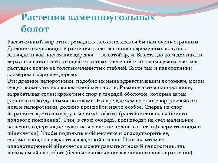 Растения каменноугольных болот Растительный мир этих громадных лесов показался бы нам очень странным. Древние