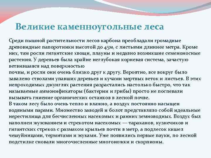 Великие каменноугольные леса Среди пышной растительности лесов карбона преобладали громадные древовидные папоротники высотой до