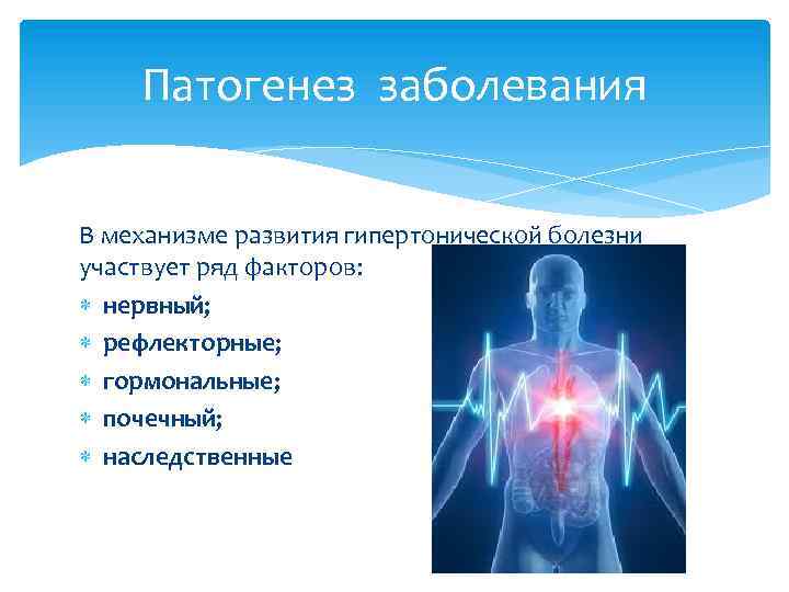 Патогенез заболевания В механизме развития гипертонической болезни участвует ряд факторов: нервный; рефлекторные; гормональные; почечный;