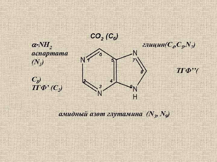  -NH 2 4 5 6 1 СО 2 (С 6) аспартата (N 1)