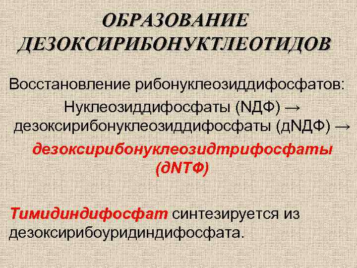 ОБРАЗОВАНИЕ ДЕЗОКСИРИБОНУКТЛЕОТИДОВ Восстановление рибонуклеозиддифосфатов: Нуклеозиддифосфаты (NДФ) → дезоксирибонуклеозиддифосфаты (д. NДФ) → дезоксирибонуклеозидтрифосфаты (д. NТФ)