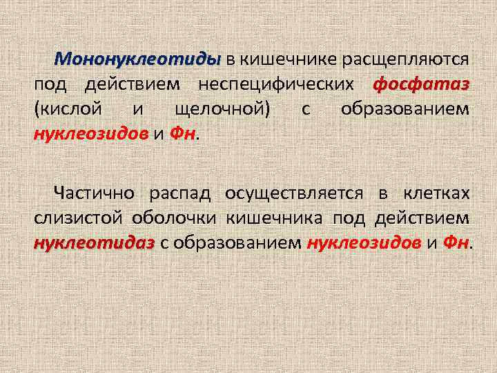 Мононуклеотиды в кишечнике расщепляются под действием неспецифических фосфатаз (кислой и щелочной) с образованием нуклеозидов