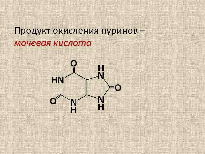 Продукт окисления пуринов – мочевая кислота 