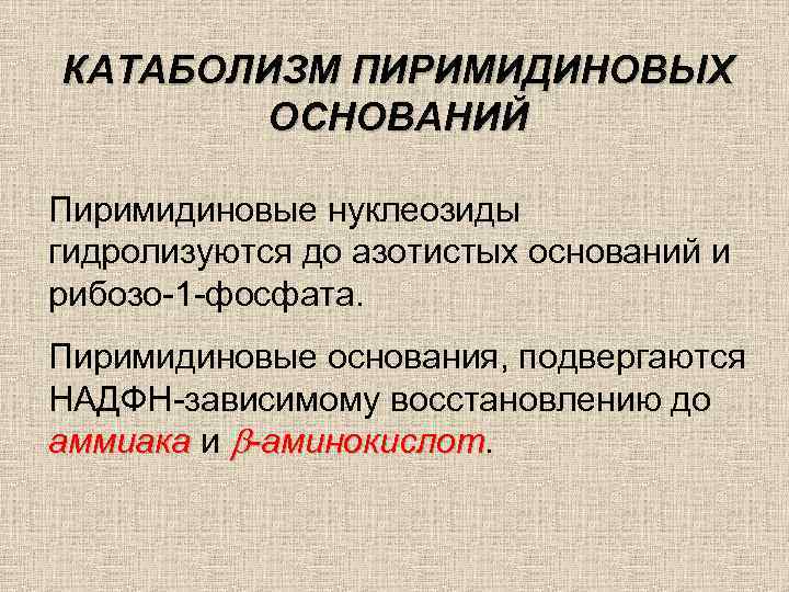 КАТАБОЛИЗМ ПИРИМИДИНОВЫХ ОСНОВАНИЙ Пиримидиновые нуклеозиды гидролизуются до азотистых оснований и рибозо-1 -фосфата. Пиримидиновые основания,