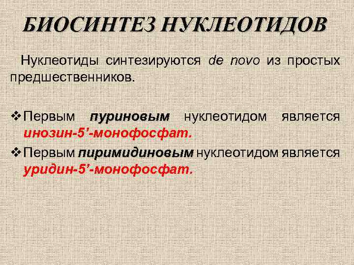 БИОСИНТЕЗ НУКЛЕОТИДОВ Нуклеотиды синтезируются de novo из простых предшественников. v Первым пуриновым нуклеотидом является