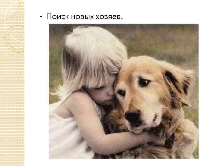 - Поиск новых хозяев. 