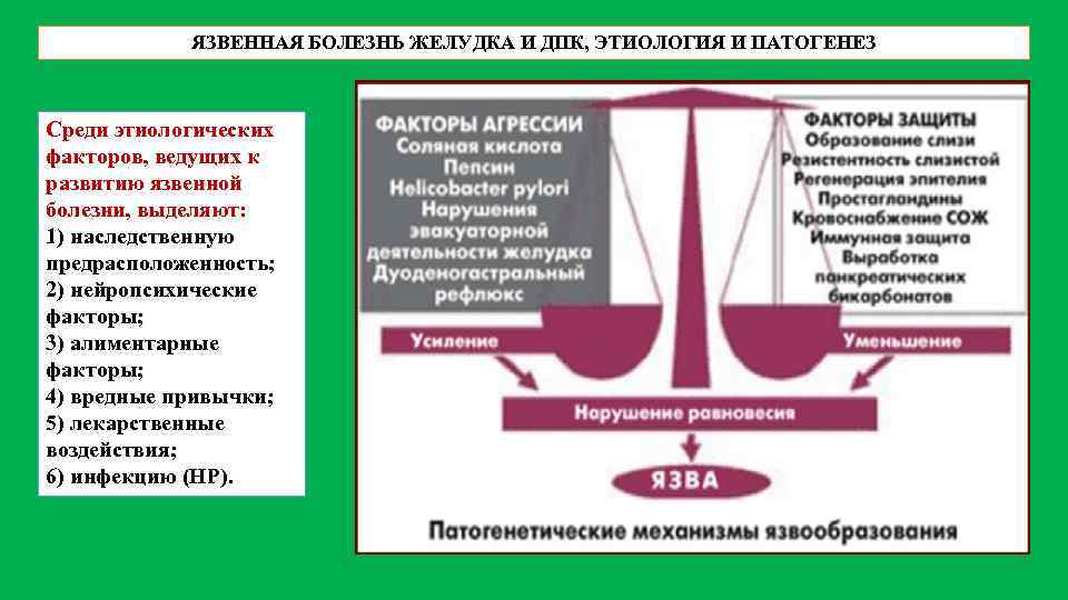 ЯЗВЕННАЯ БОЛЕЗНЬ ЖЕЛУДКА И ДПК, ЭТИОЛОГИЯ И ПАТОГЕНЕЗ Среди этиологических факторов, ведущих к развитию