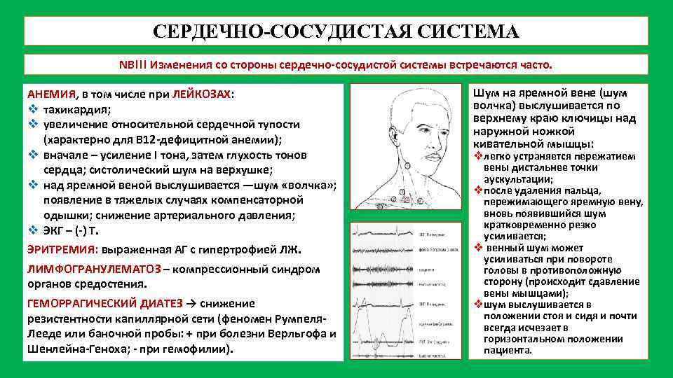 СЕРДЕЧНО-СОСУДИСТАЯ СИСТЕМА NB!!! Изменения со стороны сердечно-сосудистой системы встречаются часто. АНЕМИЯ, в том числе