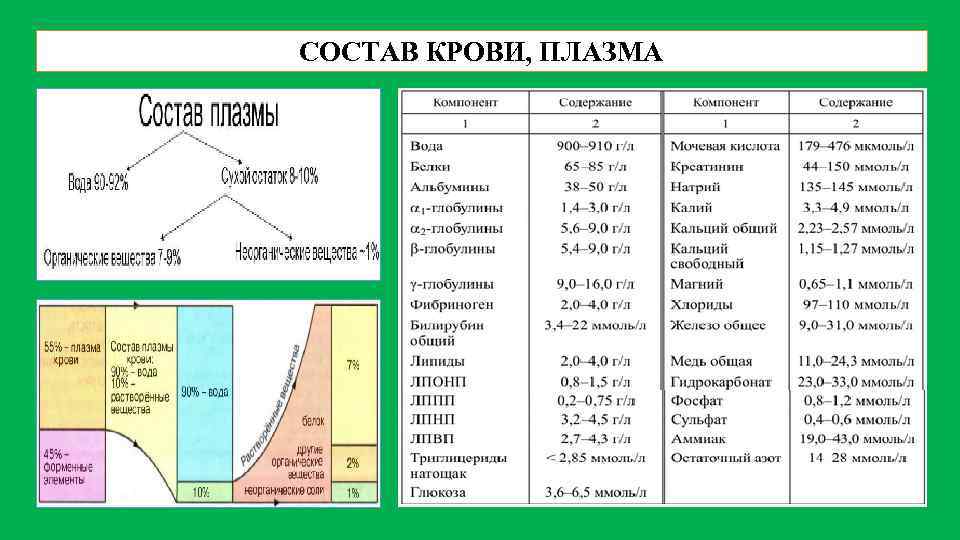 СОСТАВ КРОВИ, ПЛАЗМА 