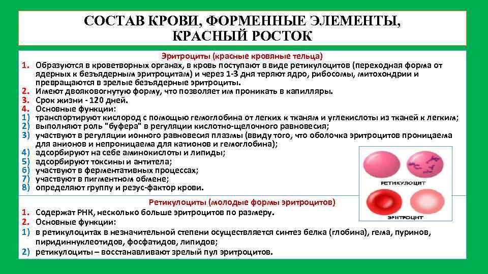 СОСТАВ КРОВИ, ФОРМЕННЫЕ ЭЛЕМЕНТЫ, КРАСНЫЙ РОСТОК 1. 2. 3. 4. 1) 2) 3) 4)