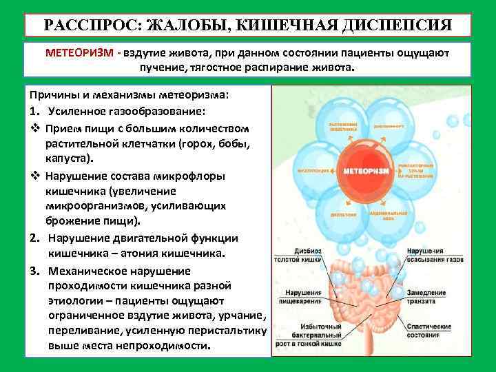 РАССПРОС: ЖАЛОБЫ, КИШЕЧНАЯ ДИСПЕПСИЯ МЕТЕОРИЗМ - вздутие живота, при данном состоянии пациенты ощущают пучение,