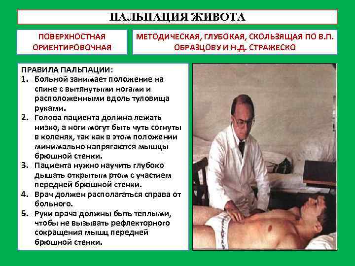 ПАЛЬПАЦИЯ ЖИВОТА ПОВЕРХНОСТНАЯ ОРИЕНТИРОВОЧНАЯ МЕТОДИЧЕСКАЯ, ГЛУБОКАЯ, СКОЛЬЗЯЩАЯ ПО В. П. ОБРАЗЦОВУ И Н. Д.