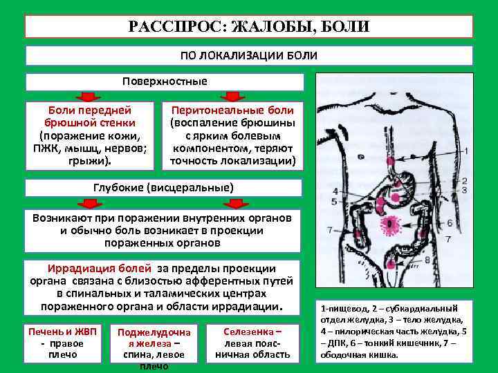 РАССПРОС: ЖАЛОБЫ, БОЛИ ПО ЛОКАЛИЗАЦИИ БОЛИ Поверхностные Боли передней брюшной стенки (поражение кожи, ПЖК,