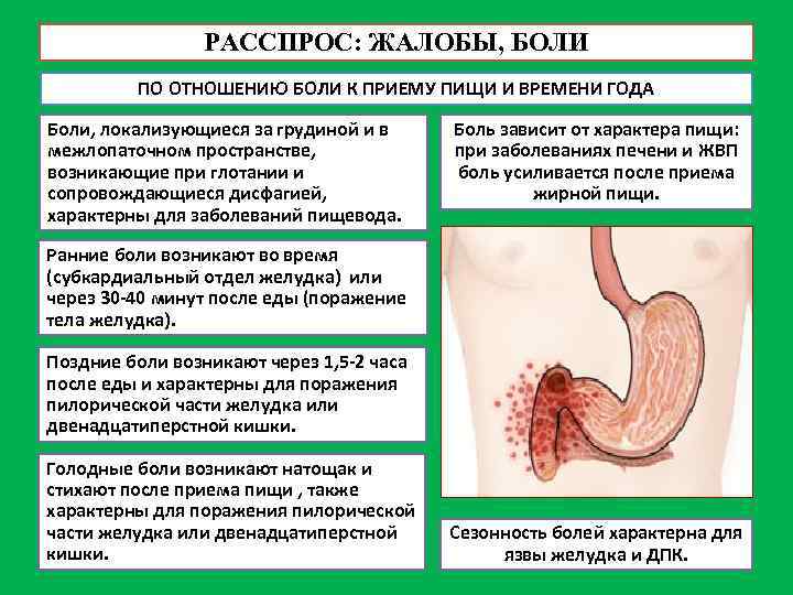 РАССПРОС: ЖАЛОБЫ, БОЛИ ПО ОТНОШЕНИЮ БОЛИ К ПРИЕМУ ПИЩИ И ВРЕМЕНИ ГОДА Боли, локализующиеся