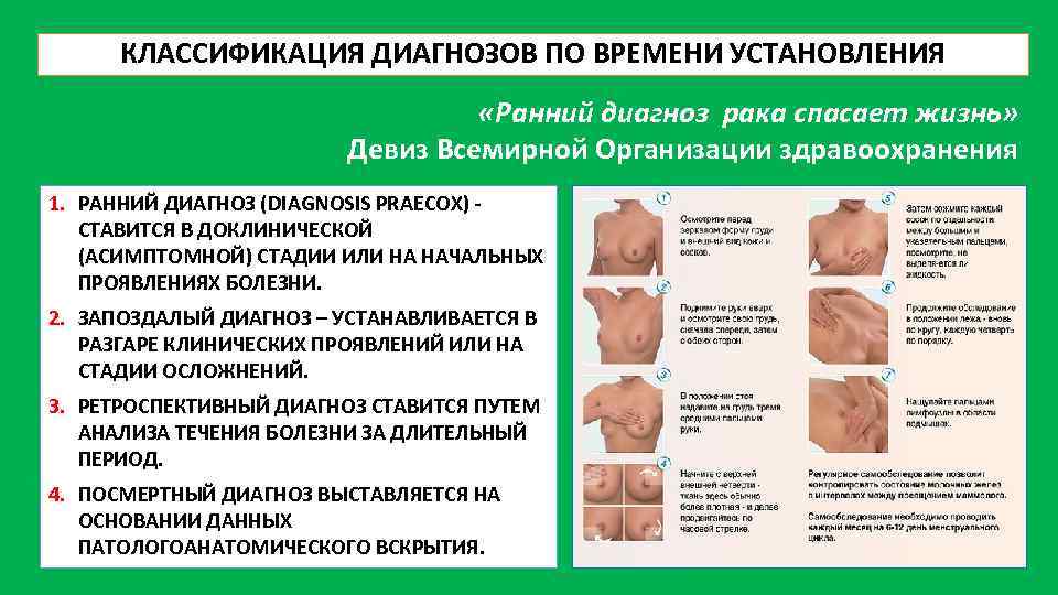 Установление диагноза