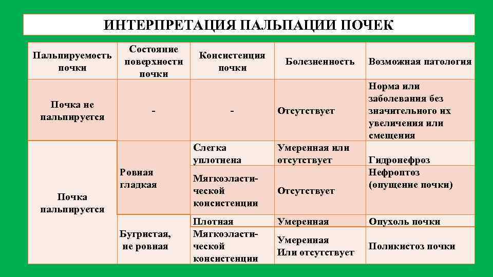 ИНТЕРПРЕТАЦИЯ ПАЛЬПАЦИИ ПОЧЕК Состояние Пальпируемость поверхности почки Почка не пальпируется Консистенция почки Болезненность Отсутствует